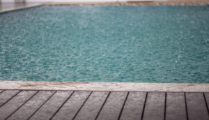 2ae5c13de9a64e374c3c3e7bdcce78a8