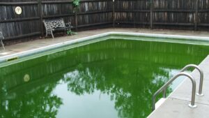 Por que a Agua da Piscina Fica Verde Aprenda Como Limpar